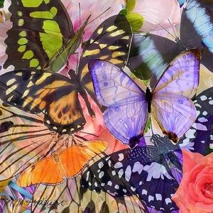 Meet your Posher, Karina